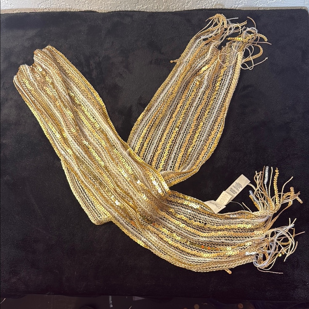 Chico's Gold and Silver Elegant Wrap Accessory